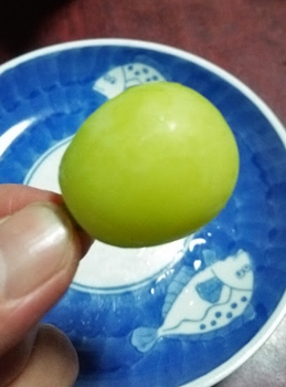 2551.jpg