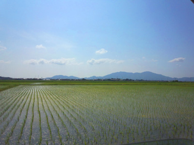 DSC_0084.jpg
