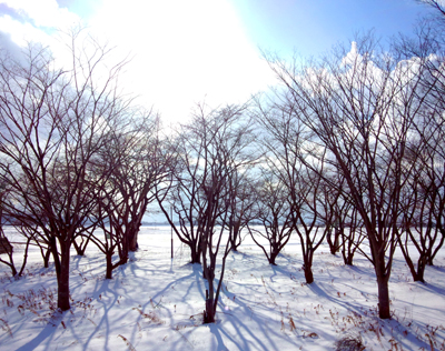 DSC_0318a.jpg