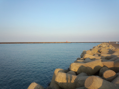 DSC_0365.jpg