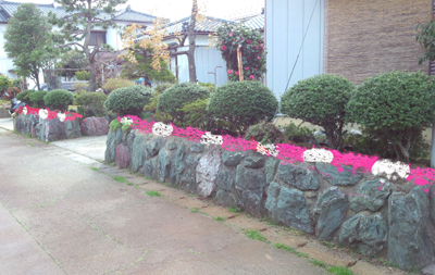DSC_0404PT.jpg