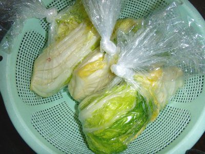 P1000637.jpg