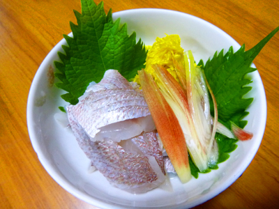 P1000654.jpg