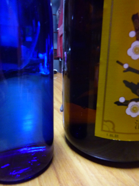 P1000660.jpg