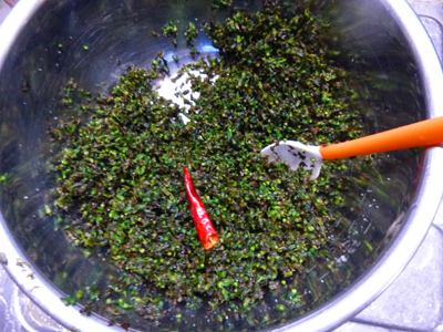 P1020081.JPG
