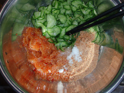 P6075005a.jpg