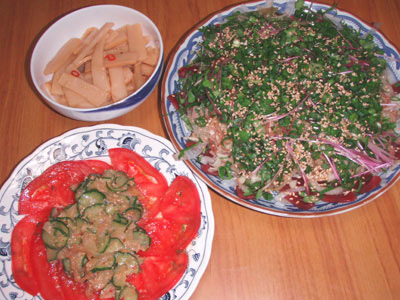P6075006a.jpg