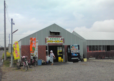 F1010186.jpg